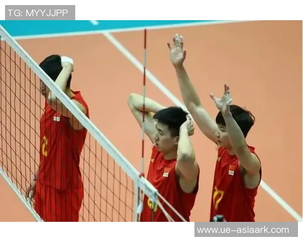 北京排球队心理素质引发热议球迷与专家观点交锋分析